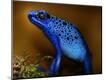 Premium Photographic Print