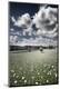 Premium Photographic Print