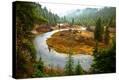 Stretched Canvas Print