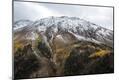 Photographic Print