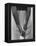 Ben Hogan, Close Up of Hands Grasping Club-Yale Joel-Framed Premier Image Canvas