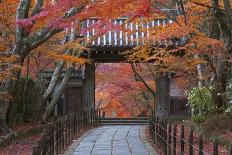 A Telephoto View Shows a Traditional Wooden Gate Roofed with Kawara Ceramic Tiles at Komyo-Ji-Ben Simmons-Framed Premier Image Canvas