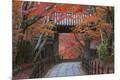 Photographic Print