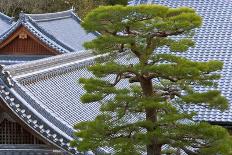 A Telephoto View Shows a Traditional Wooden Gate Roofed with Kawara Ceramic Tiles at Komyo-Ji-Ben Simmons-Premier Image Canvas