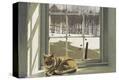 Stretched Canvas Print