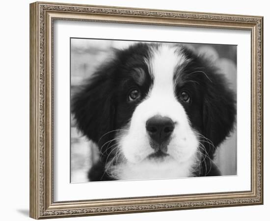 Ben-Kim Levin-Framed Photographic Print