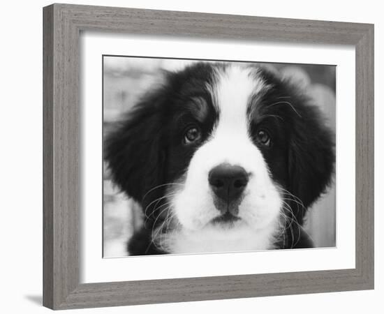 Ben-Kim Levin-Framed Photographic Print