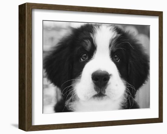 Ben-Kim Levin-Framed Photographic Print