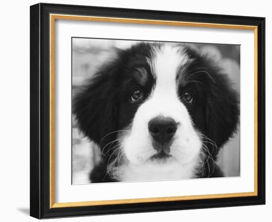 Ben-Kim Levin-Framed Photographic Print