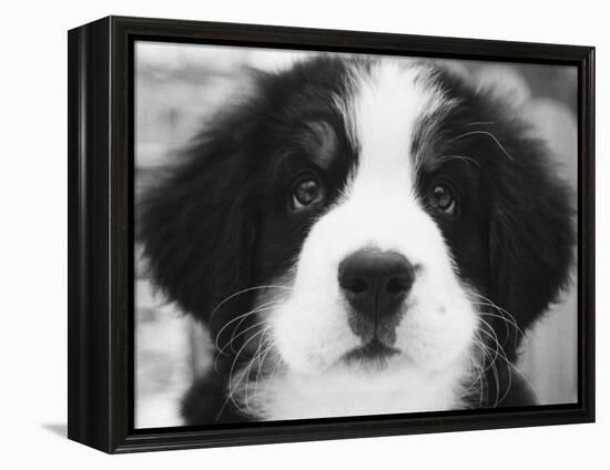 Ben-Kim Levin-Framed Premier Image Canvas