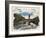 Ben-Kirstie Adamson-Framed Giclee Print