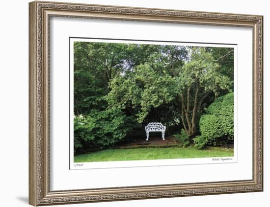 Bench and Tree-Stacy Bass-Framed Giclee Print