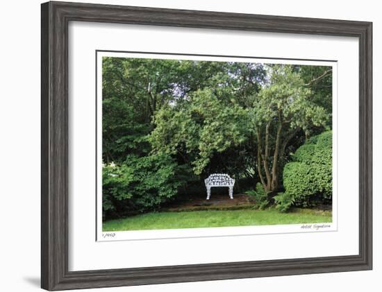 Bench and Tree-Stacy Bass-Framed Giclee Print