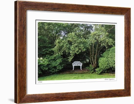 Bench and Tree-Stacy Bass-Framed Giclee Print