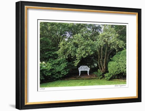 Bench and Tree-Stacy Bass-Framed Giclee Print