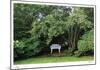 Bench and Tree-Stacy Bass-Mounted Limited Edition