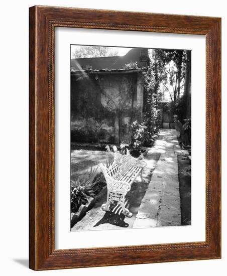 Bench at the Museo Leon Trotsky, Coyoacan, Mexico-Walter Bibikow-Framed Photographic Print