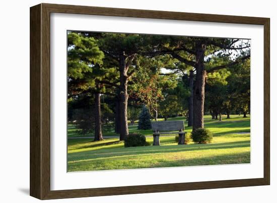 Bench I-Tammy Putman-Framed Photographic Print