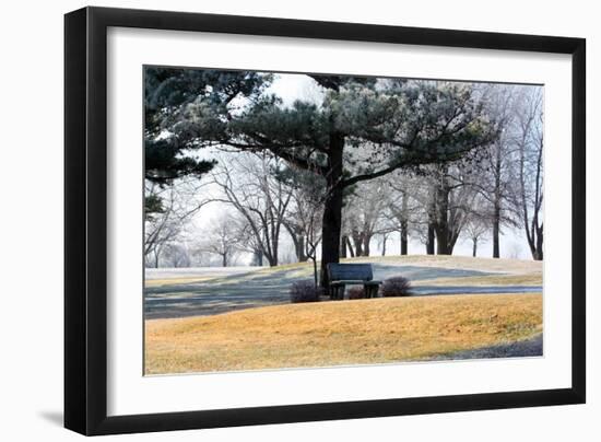 Bench II-Tammy Putman-Framed Photographic Print