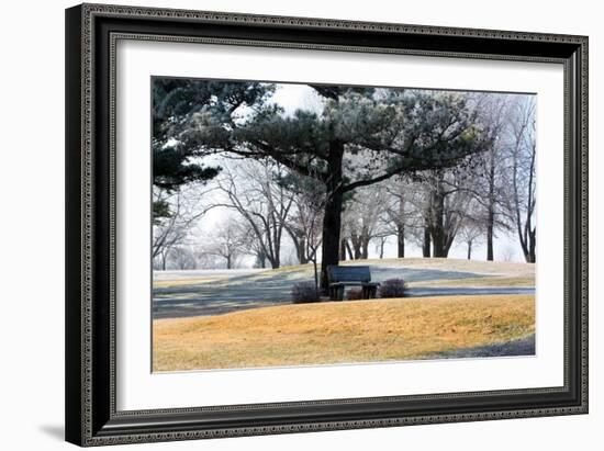 Bench II-Tammy Putman-Framed Photographic Print