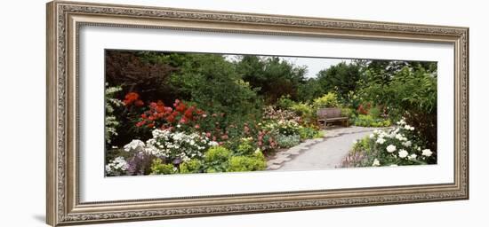 Bench in a Garden, Olbrich Botanical Gardens, Madison, Wisconsin, USA-null-Framed Photographic Print