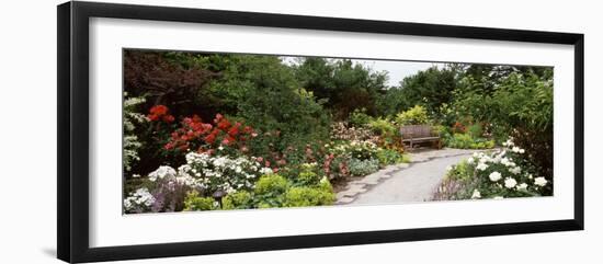 Bench in a Garden, Olbrich Botanical Gardens, Madison, Wisconsin, USA-null-Framed Photographic Print