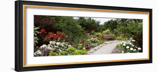 Bench in a Garden, Olbrich Botanical Gardens, Madison, Wisconsin, USA-null-Framed Photographic Print