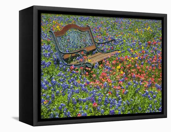 Bench in Field of Wildflowers Near Yoakum, Texas, USA-Darrell Gulin-Framed Premier Image Canvas