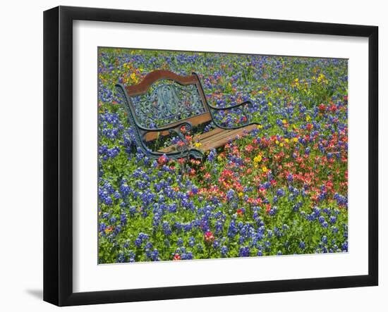 Bench in Field of Wildflowers Near Yoakum, Texas, USA-Darrell Gulin-Framed Photographic Print