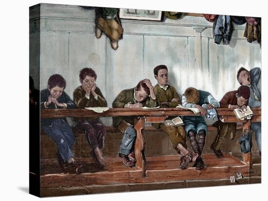 Stretched Canvas Print, , large