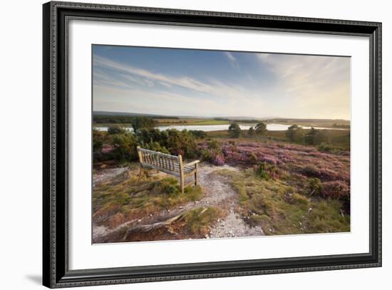 Bench Overlooking Landspace and Flowering Common Heather (Calluna Vulgaris) Dorset, England, UK-Ross Hoddinott-Framed Photographic Print