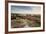 Bench Overlooking Landspace and Flowering Common Heather (Calluna Vulgaris) Dorset, England, UK-Ross Hoddinott-Framed Photographic Print