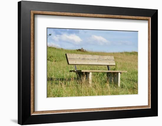 bench, Schanzberg, Upper Palatinate, Bavaria, Germany, Europe,-David & Micha Sheldon-Framed Photographic Print