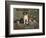 Bench Show, New England Kennel Club-null-Framed Giclee Print