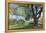 Bench Swing under Large Tree at Rancho La Purerta, Tecate, Mexico-Jaynes Gallery-Framed Premier Image Canvas