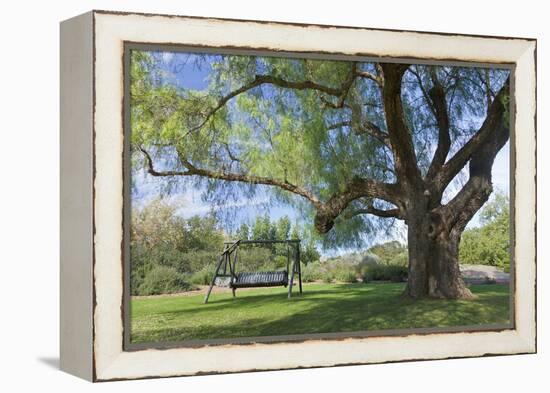 Bench Swing under Large Tree at Rancho La Purerta, Tecate, Mexico-Jaynes Gallery-Framed Premier Image Canvas