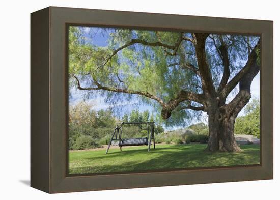 Bench Swing under Large Tree at Rancho La Purerta, Tecate, Mexico-Jaynes Gallery-Framed Premier Image Canvas