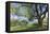 Bench Swing under Large Tree at Rancho La Purerta, Tecate, Mexico-Jaynes Gallery-Framed Premier Image Canvas