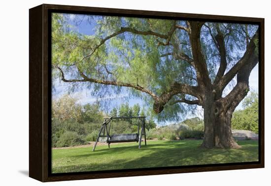 Bench Swing under Large Tree at Rancho La Purerta, Tecate, Mexico-Jaynes Gallery-Framed Premier Image Canvas