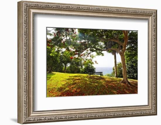 Bench Under a Flamboyan, Borinquen, Puerto Rico-George Oze-Framed Photographic Print