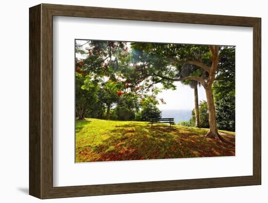 Bench Under a Flamboyan, Borinquen, Puerto Rico-George Oze-Framed Photographic Print