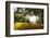 Bench Under a Flamboyan, Borinquen, Puerto Rico-George Oze-Framed Photographic Print