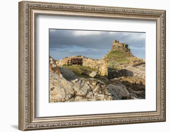 Bench with Lindisfarne Castle, Holy Island, Northumberland-Ross Hoddinott-Framed Photographic Print