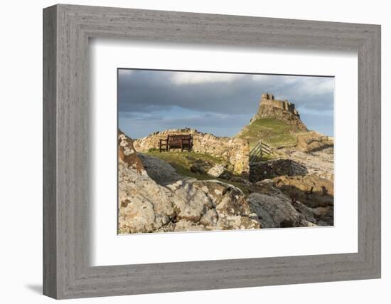 Bench with Lindisfarne Castle, Holy Island, Northumberland-Ross Hoddinott-Framed Photographic Print