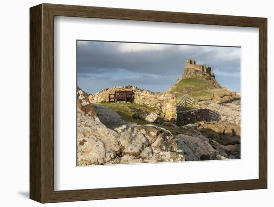 Bench with Lindisfarne Castle, Holy Island, Northumberland-Ross Hoddinott-Framed Photographic Print