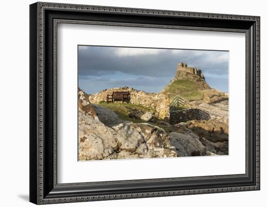 Bench with Lindisfarne Castle, Holy Island, Northumberland-Ross Hoddinott-Framed Photographic Print