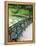 Benches, Central Park, Manhattan-Amanda Hall-Framed Premier Image Canvas