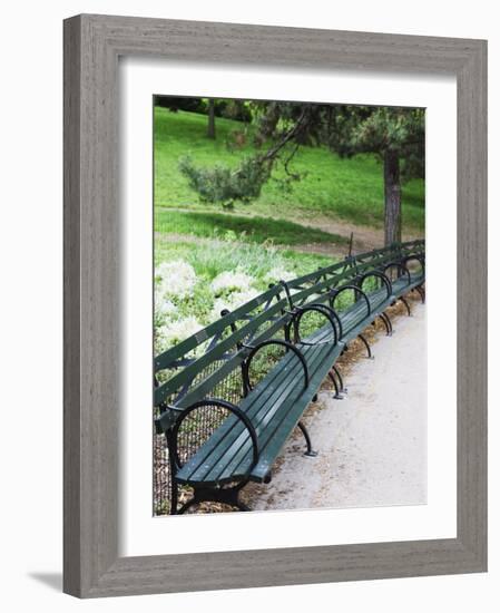 Benches, Central Park, Manhattan-Amanda Hall-Framed Photographic Print