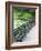 Benches, Central Park, Manhattan-Amanda Hall-Framed Photographic Print