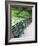 Benches, Central Park, Manhattan-Amanda Hall-Framed Photographic Print